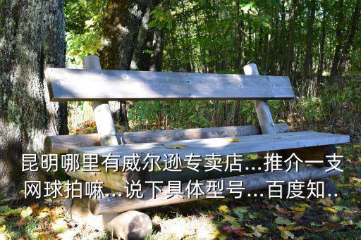  昆明哪里有威爾遜專賣店…推介一支網(wǎng)球拍嘛…說下具體型號…百度知...