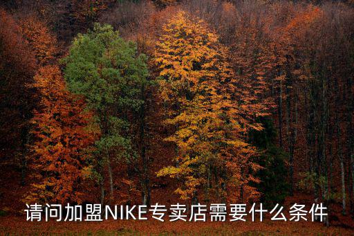 請問加盟NIKE專賣店需要什么條件