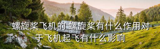  螺旋槳飛機(jī)的 螺旋槳有什么作用對(duì)于飛機(jī)起飛有什么影響