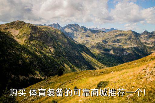 體育用品采購清單模板圖片,學校采購清單表格模板圖片
