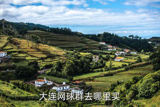 黃山路體育用品店在哪里,體育用品店在安徽賣拉拉隊花
