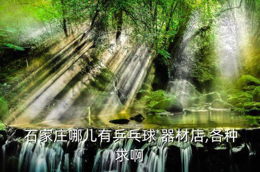 石家莊賣(mài)體育器材的商店在哪