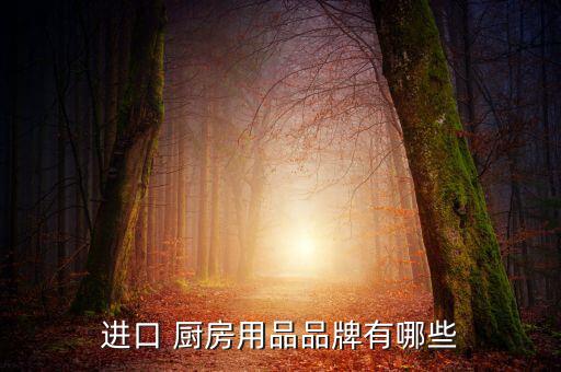 進(jìn)口 廚房用品品牌有哪些