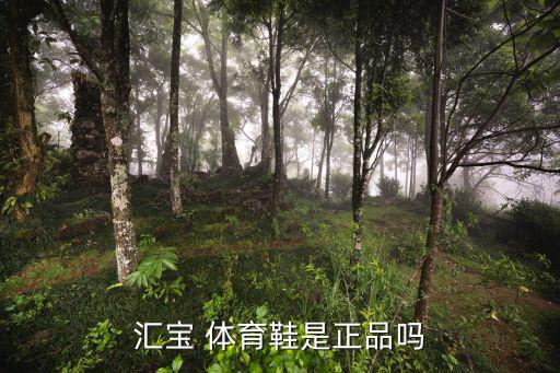 揚(yáng)州體育用品哪里有買,揚(yáng)州強(qiáng)勁體育用品有限公司
