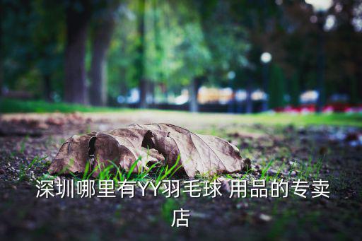  深圳哪里有YY羽毛球 用品的專賣店