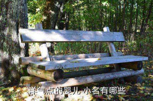  洋氣點的嬰兒 小名有哪些