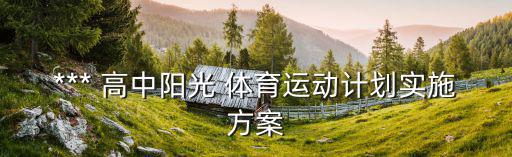 *** 高中陽光 體育運(yùn)動(dòng)計(jì)劃實(shí)施方案