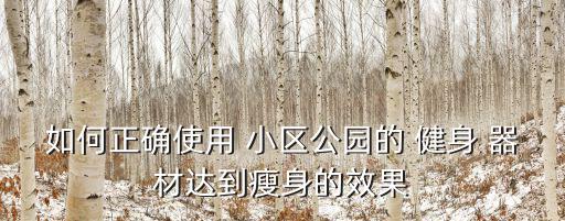 如何正確使用 小區(qū)公園的 健身 器材達(dá)到瘦身的效果