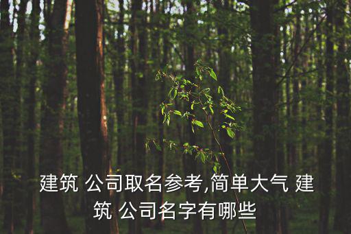 建筑公司名稱(chēng)大全3個(gè)字起名,建筑勞務(wù)公司名稱(chēng)大全簡(jiǎn)單大氣