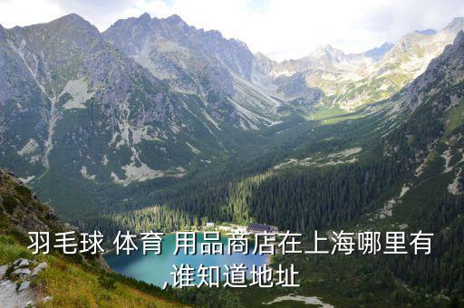 羽毛球 體育 用品商店在上海哪里有,誰知道地址