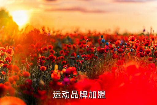 運動品牌加盟哪家好,關(guān)于運動品牌你必須知道的事兒