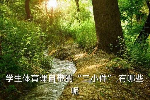 小學(xué)體育運(yùn)動(dòng)器材有哪些類型,小學(xué)一年級體育運(yùn)動(dòng)有哪些項(xiàng)目