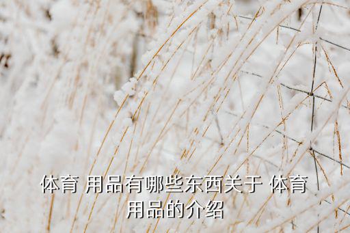  體育 用品有哪些東西關(guān)于 體育 用品的介紹