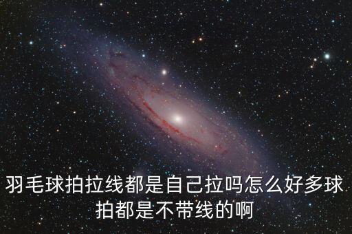 體育用品商店怎么拍,乒乓球拍選購攻略