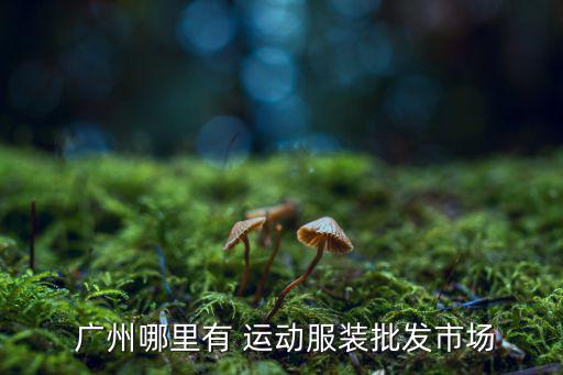  廣州哪里有 運(yùn)動服裝批發(fā)市場