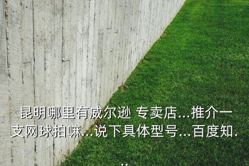 昆明體育用品專賣店地址在哪里,石家莊體育用品專賣店在哪里