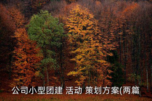 公司小型團建 活動 策劃方案(兩篇