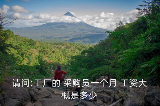 請(qǐng)問(wèn):工廠的 采購(gòu)員一個(gè)月 工資大概是多少