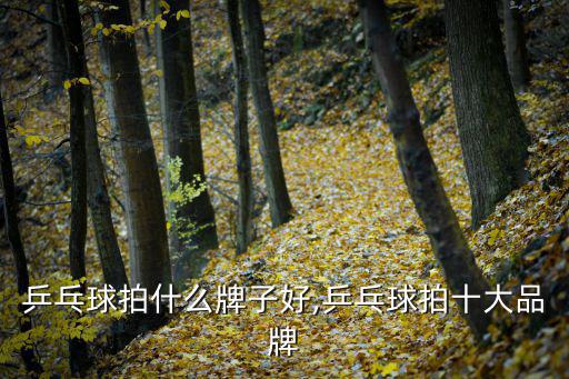 保定體育用品賣(mài)什么好,保定尊亞體育用品有限公司