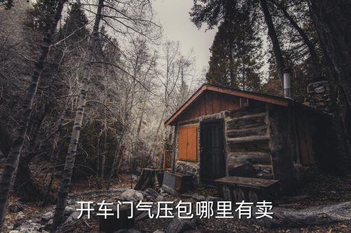 開(kāi)車(chē)門(mén)氣壓包哪里有賣(mài)