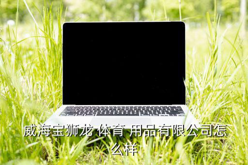 威海有哪些體育用品市場(chǎng),nn威海包世龍?bào)w育用品有限公司