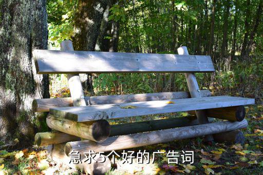 體育用品藝人代言詞怎么寫