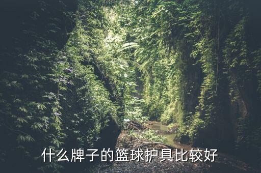 歐洲哪些體育用品賣的好,賣體育用品的旗艦店有哪些