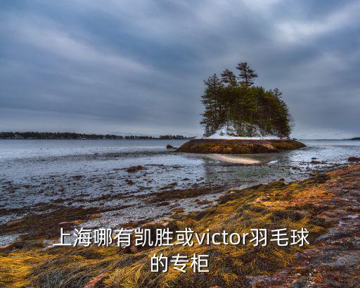 上海羽翔體育用品有限公司怎么樣,羽翔體育用品專營(yíng)店怎么樣
