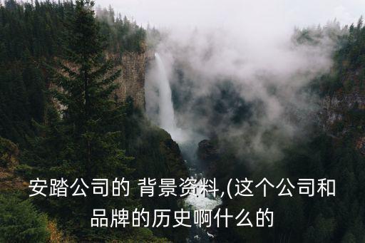 體育用品背景分析報(bào)告怎么寫,案例分析報(bào)告背景怎么寫