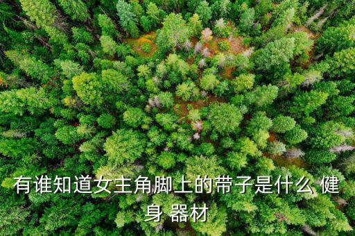 女生宿舍健身器材,堅持下蹲和跳躍運(yùn)動健身操女生塑身
