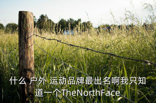 什么 戶外 運動品牌最出名啊我只知道一個TheNorthFace
