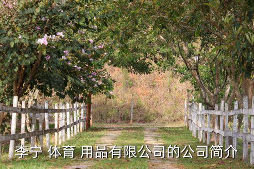 李寧 體育 用品有限公司的公司簡介