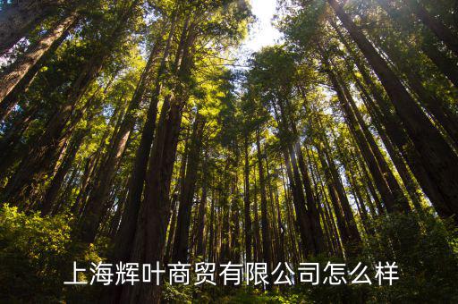 上海金山體育用品哪里有賣,東陽哪里有賣體育用品的比較全