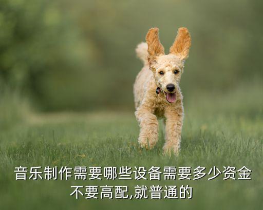 常用的音樂器材有哪些,音樂器材有哪些名稱和圖片