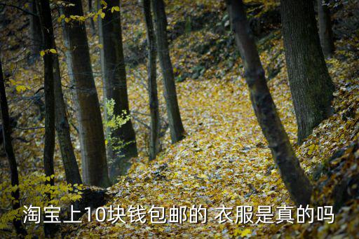 淘寶上10塊錢包郵的 衣服是真的嗎
