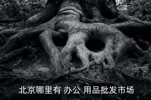 北京哪里賣辦公用品,沙子口辦公用品a街文具用品批發(fā)店很不錯(cuò)