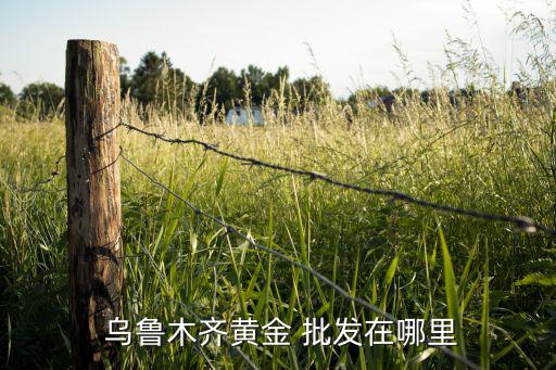 烏魯木齊批發(fā)百貨的市場在哪里,烏魯木齊gold批發(fā)在哪里?