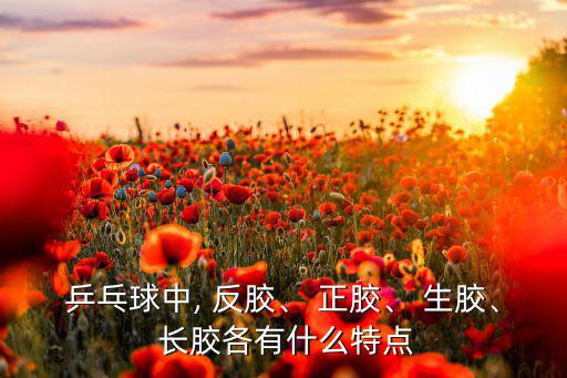 乒乓球中, 反膠、 正膠、 生膠、 長(zhǎng)膠各有什么特點(diǎn)