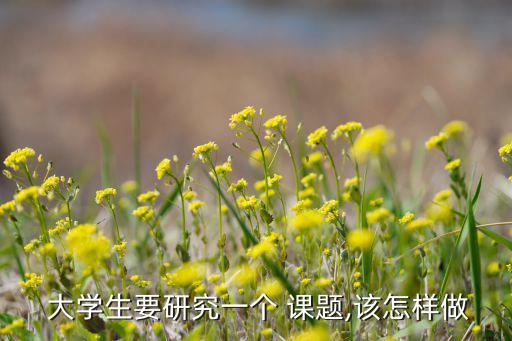  大學(xué)生要研究一個 課題,該怎樣做
