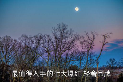 運動輕奢品牌有哪些名字,wiskii輕奢運動品牌