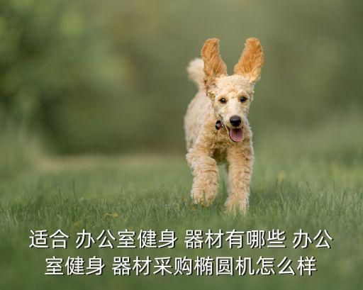 辦公室運(yùn)動(dòng)器材照片,辦公室擺放健身器材不占太多空間也不太吵
