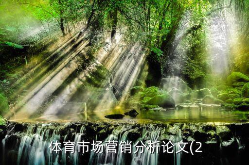  體育市場營銷分析論文(2