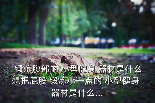  鍛煉腹部的 小型健身 器材是什么想把屁股 鍛煉小一點的 小型健身 器材是什么...