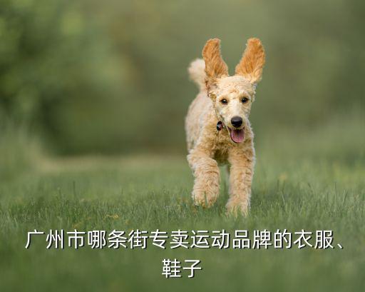 廣州臺(tái)球用品一條街,廣州爵士文體用品店銷(xiāo)售冠病相關(guān)用品