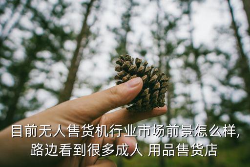性用品自助機生意好嗎,賣情趣內(nèi)衣賺錢嗎