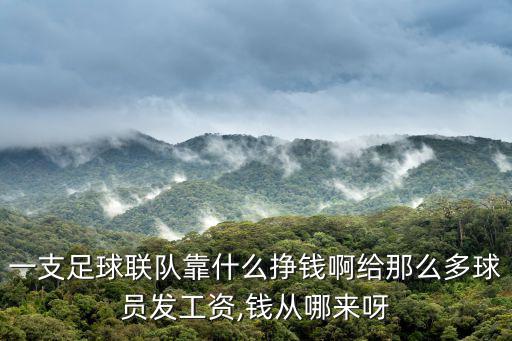 體育用品收入來源有哪些
