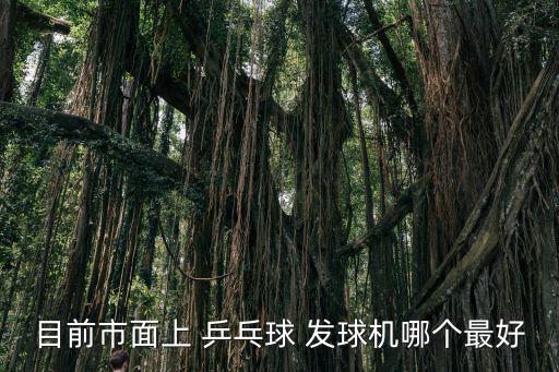 家用乒乓球發(fā)球機(jī)評(píng)語(yǔ),小型家用乒乓球發(fā)球機(jī)