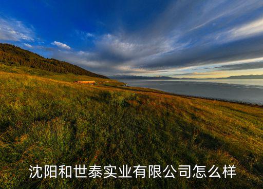  沈陽和世泰實(shí)業(yè)有限公司怎么樣