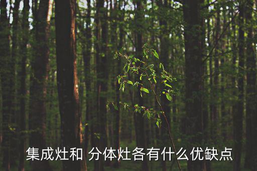  集成灶和 分體灶各有什么優(yōu)缺點