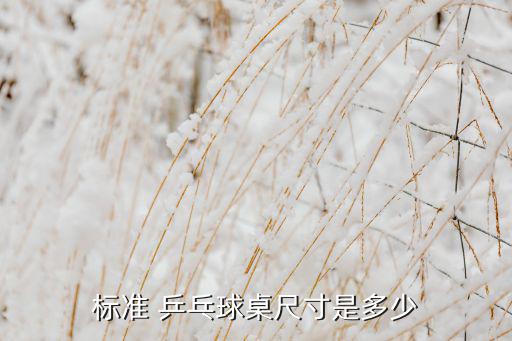 體育器材乒乓球臺